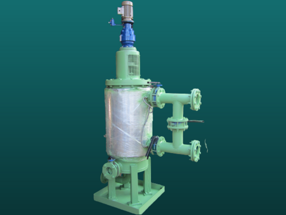 Self Cleaning Filter variant
